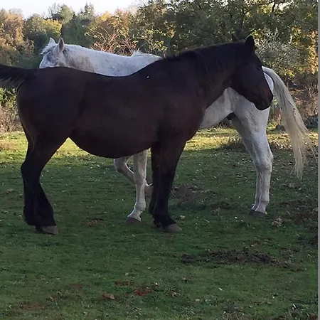 Apartmán La Locaia Siena