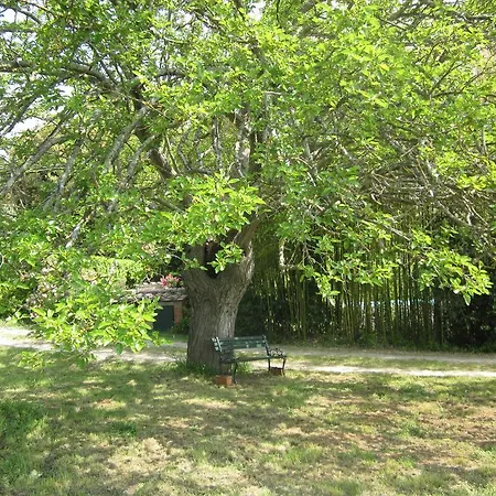 Apartmán La Locaia