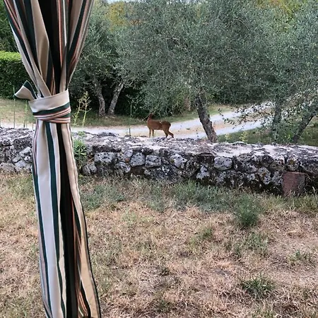 La Locaia